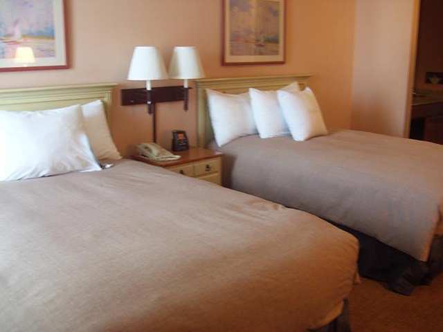 Homewood Suites By Hilton St. Petersburg Clearwater Room photo